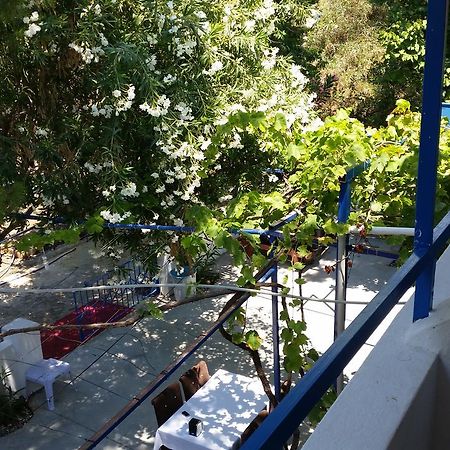 Deniz Yildizi Fethiye Ngoại thất bức ảnh